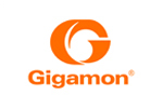 Gigamon